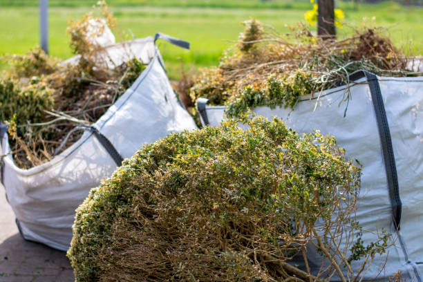 Best Same-Day Junk Removal  in Powells Crossroads, TN